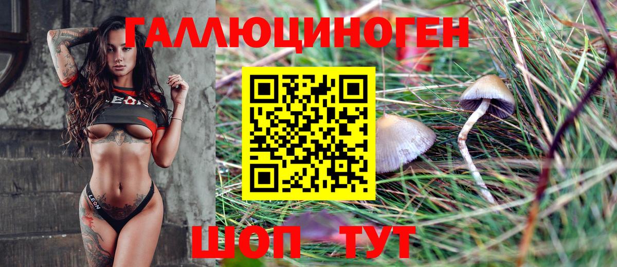 Галлюциногенные грибы MAGIC MUSHROOMS Соль-Илецк